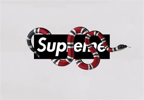 gucci and supreme logo